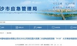 国产精品久久久久久久毛片,探寻久久久久久久毛片的魅力与内涵